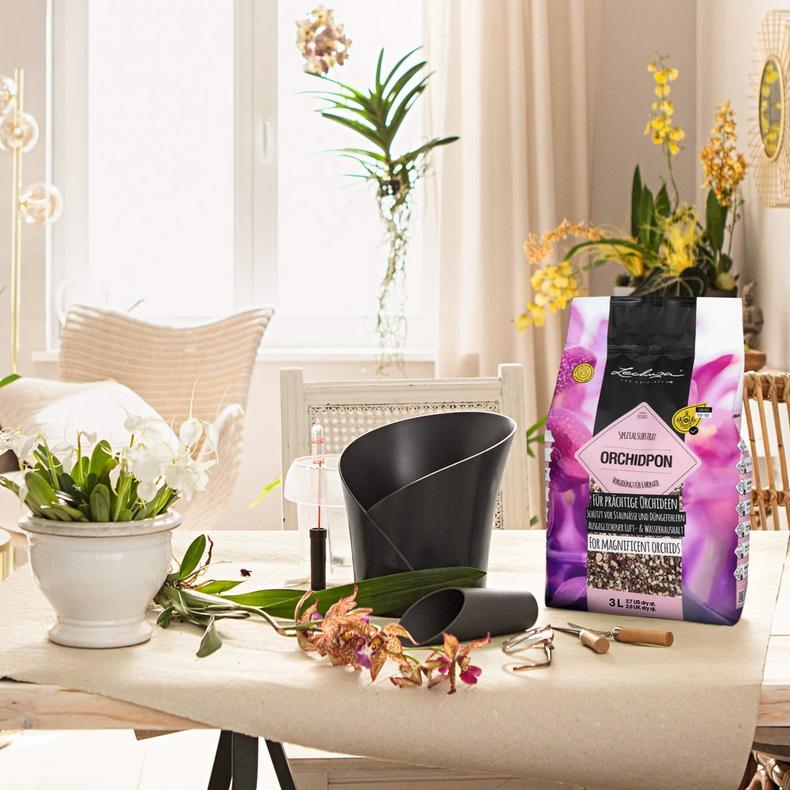 le_orchidpon_product_addi_03